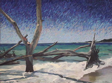 DRIFTWOOD - Longboat Key, FL