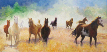 Freedom - Ranch at Rock Creek